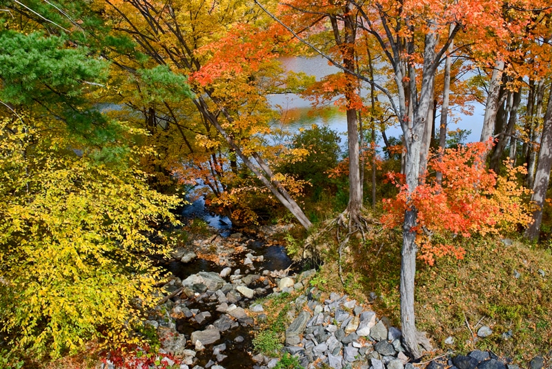 Harriman State Park