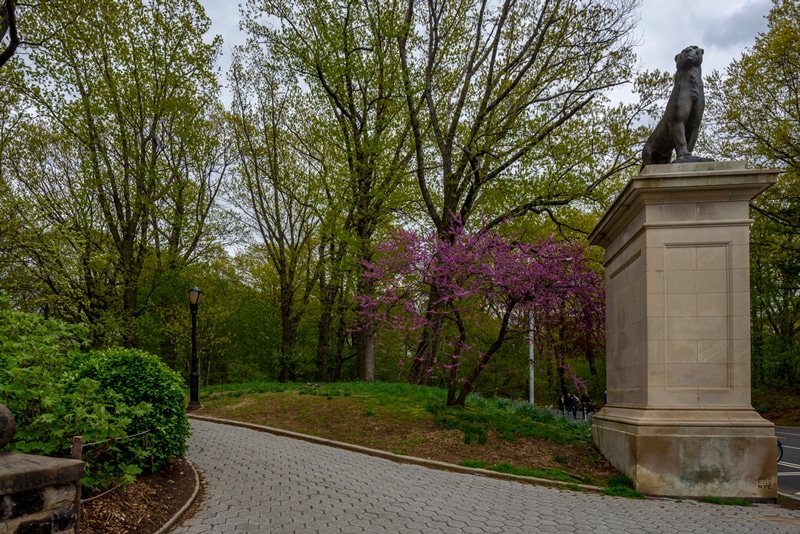 New York Prospect Park